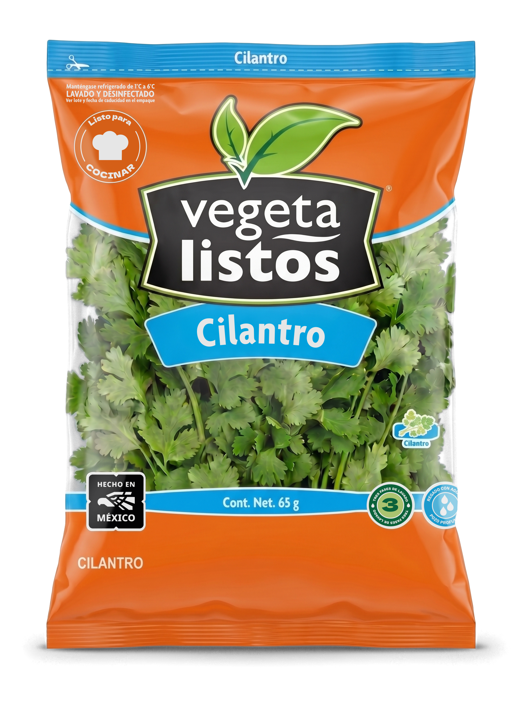Cilantro